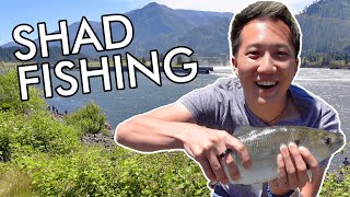 I tried Shad Fishing the Columbia River - Bonneville Dam, Washington