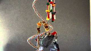 Oops I Crapped My Pants