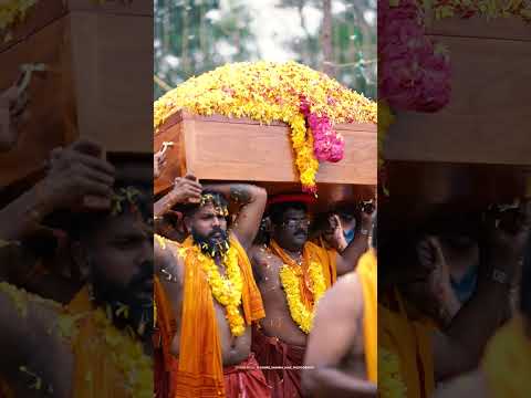 Navaikulam Sankaranarayana Swami Uthsavam 2023.Thiruvabharanagoshayatra L Kerala Trending Shorts
