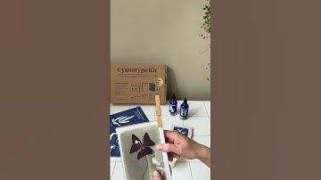 Aan de slag met de cyanotype kit om mooie afdrukken te maken in de zon
