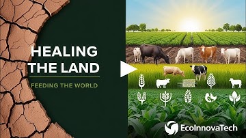 The Rise of Regenerative Agriculture: Healing the Land and Feeding the World