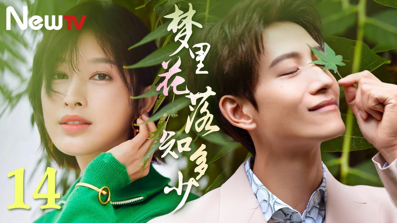【青春偶像剧 ENG SUB】梦里花落知多少 14丨张峻宁、张俪“披哥”“浪姐”为“80后”生活代言 - YouTube