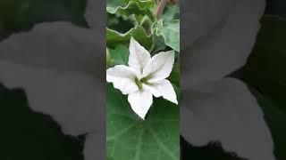 Full Nature beauty 0725(1) News