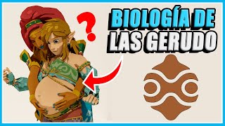 25 GRANDES SECRETOS de las GERUDO de Zelda Ocarina of Time a Tears of the Kingdom (Curiosidades)