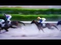 【馬基地TV】函館11R マリーンステークス OP (2015・07・12)【レース映像】