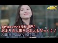 【 歌うま 】アカペラスピリッツ優勝他多数受賞の歌声! あまりの人集りに本人もびっくり! 366日 / HY ( covered by 和佳奈 )4K映像