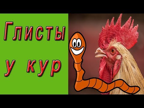 Глисты у кур первые признаки и лечение.