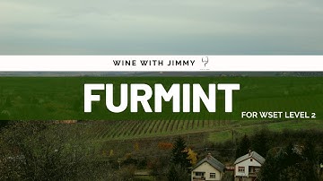 Grape Varieties - Furmint Intermediate Version ideal for WSET Level 2 Wine