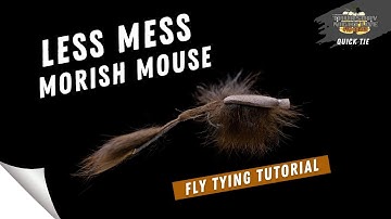 LESS MESS MORISH MOUSE| QUICK TIES | TNL S4. EP.20
