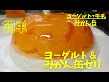【ヨーグルト＆みかん缶ゼリー】コスパ最高で、しかもたっぷり・美味しいスイーツ系デザートです。容器で悩みなし！ボールで簡単！！