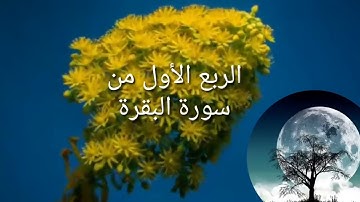 دروس دينية مع الشيخ أسامة الربع الأول من سورة البقرة (osama )