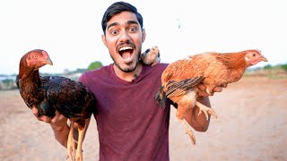 Cock has Super Powers | ये तो कोई इंसान भी नहीं कर सकता | Never Seen Before screenshot 3