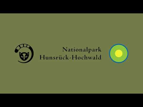 Nationalpark Akademie im Juli 2019 "Vorsicht Kamera"