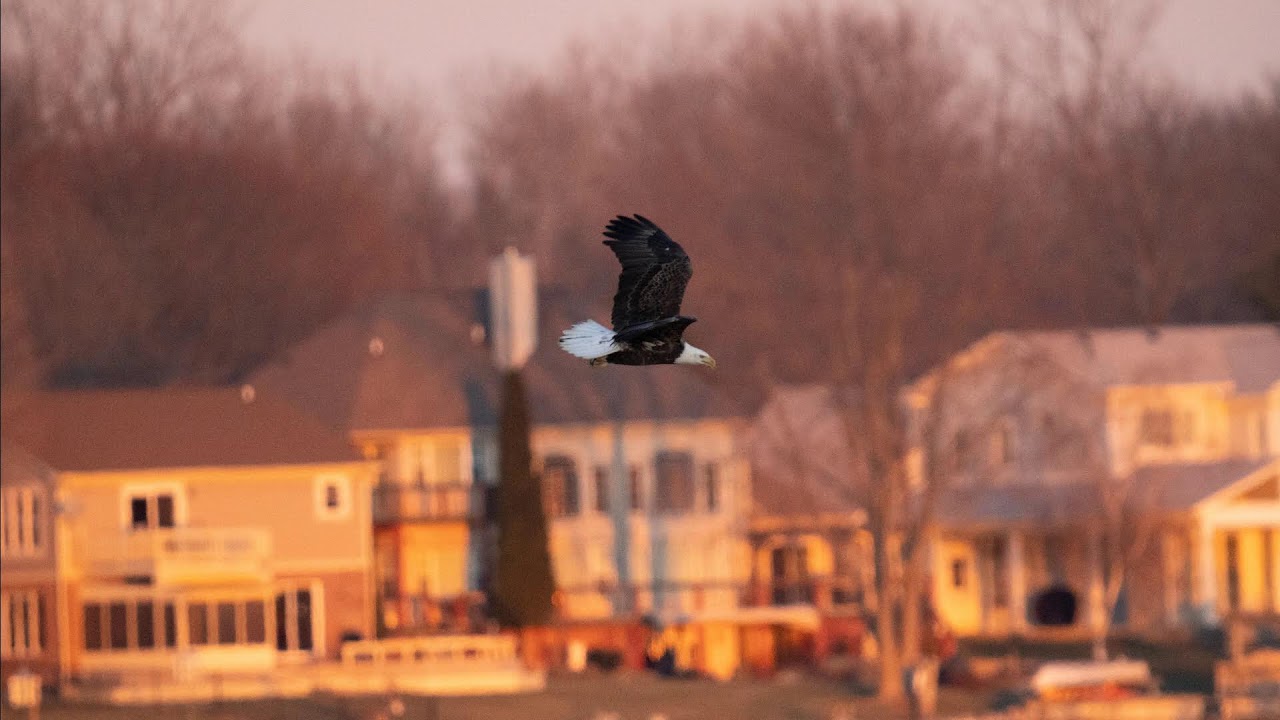 HLPOA Board Meeting April 13, 2026