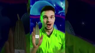 Palionowice istnieją