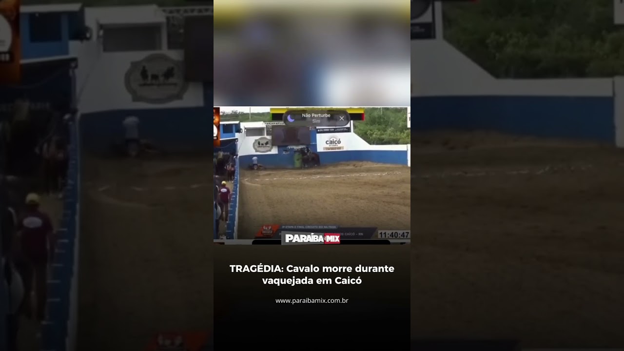 TRAGÉDIA: Cavalo morre durante vaquejada em Caicó