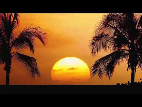 Din Dub Janda Ai Jis Wele