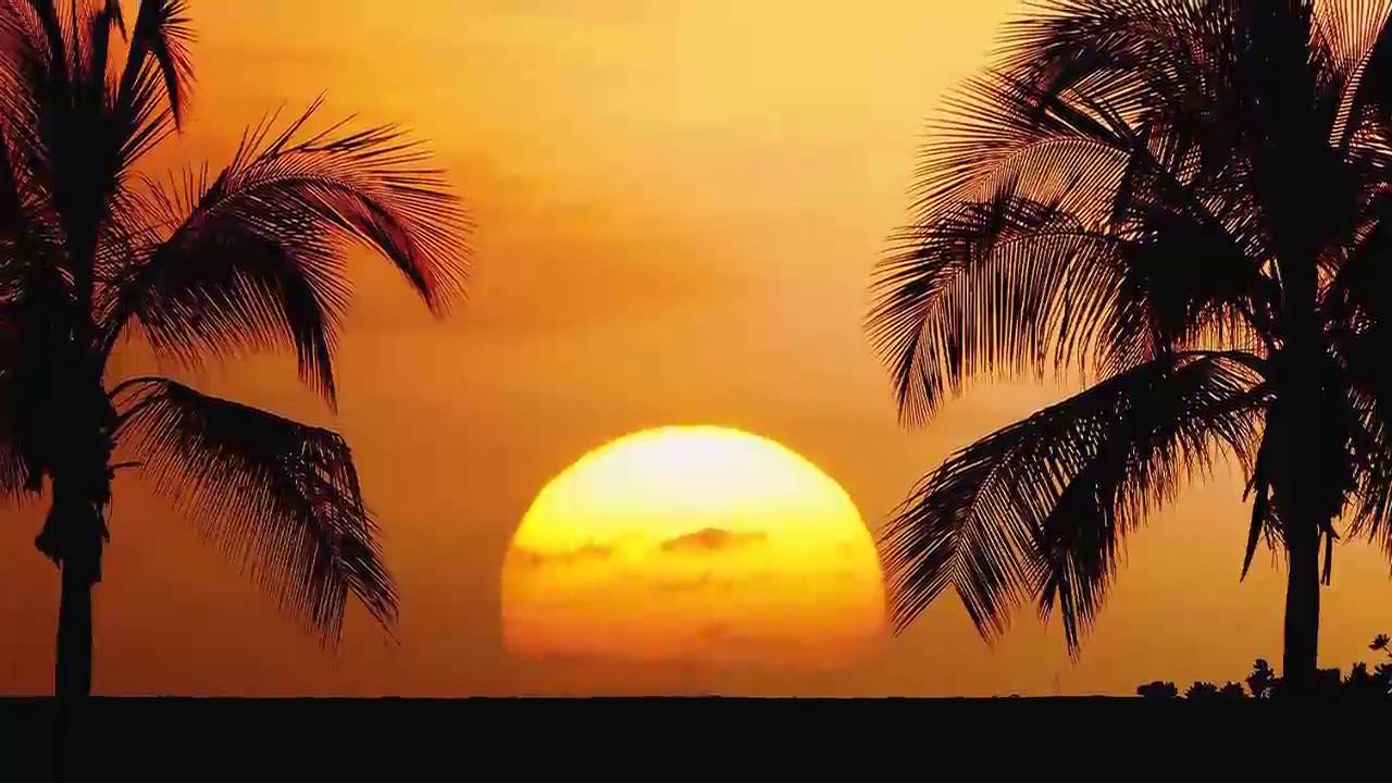 Din Dub Janda Ai Jis wele