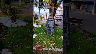 União da Vitória (PR). Praça Alvir Riesemberg. #uniaodavitoria #paraná #praca #busto #pedalar