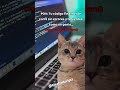El momento de gloria de todo programador: cuando tu código finalmente funciona |↕ ElectroScript