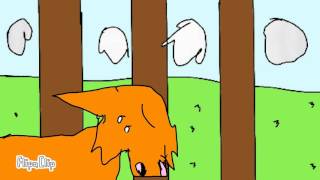 warrior cats animation of squirrelpaw/flight flipaclip