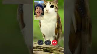 Download Lagu Stop Calling me MP3