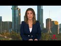 Former NDIS advocate jailed for $700k fraud | 7NEWS