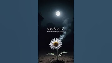 #سورة_النجم #المنشاوي #المنشاوي_رحمه_الله #قرآن #تلاوة_عطرة #اكسبلور#foryou #quran #fyp#شورتات_قرآن