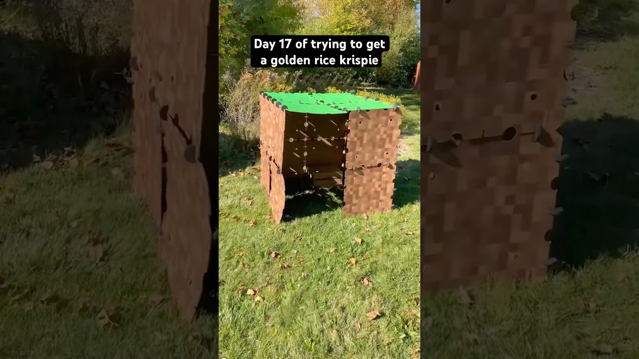 I Built a REAL LIFE Minecraft Fort 