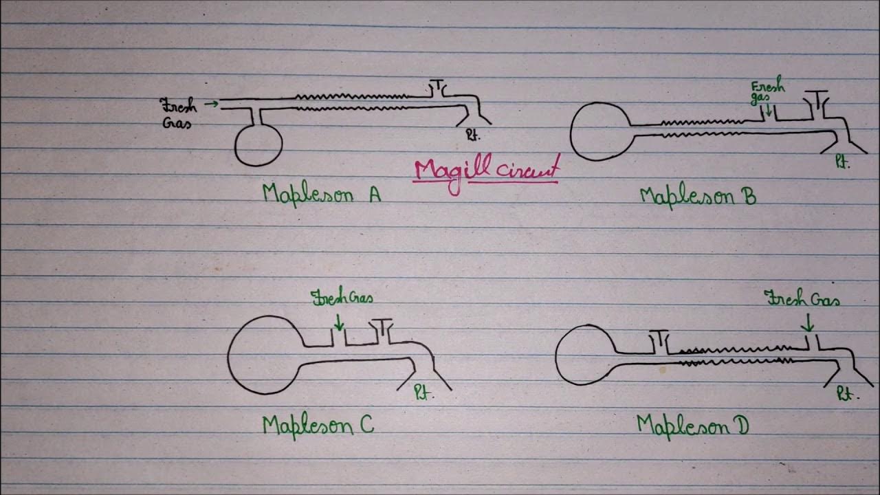Mapleson Circuit Anaesthesia Circuit (Breathing circuit) NEET PG