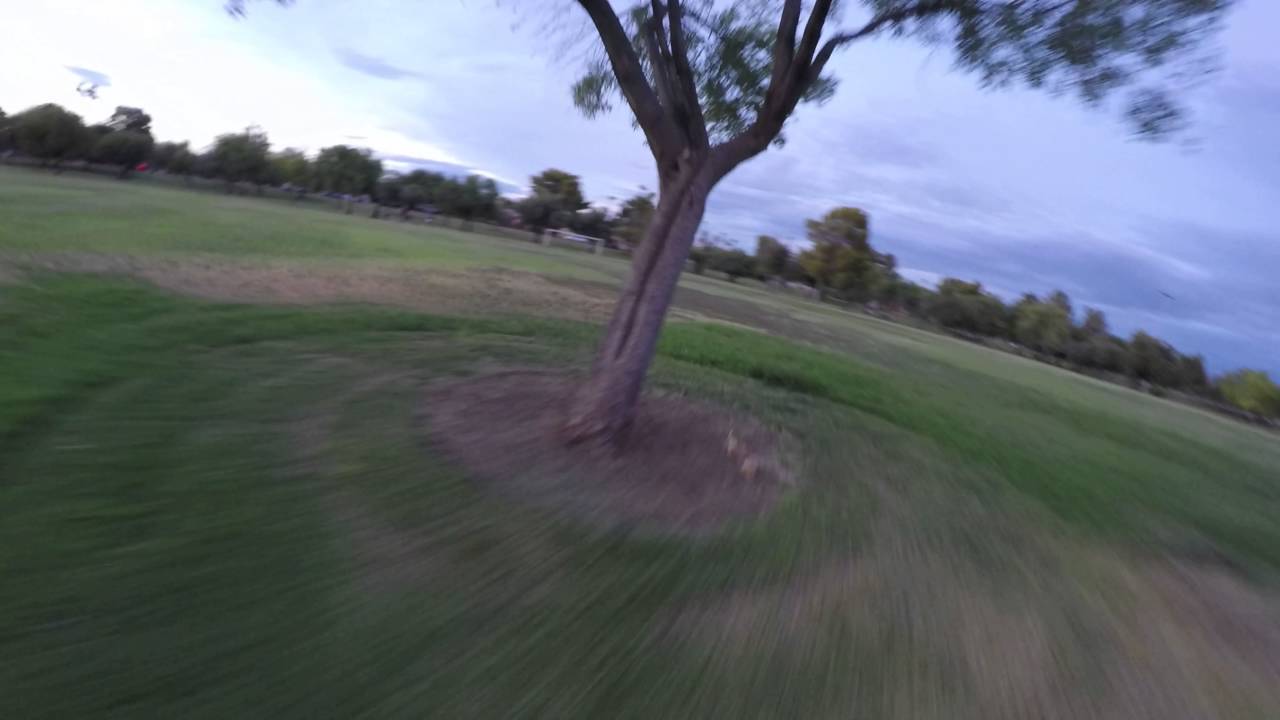 canon definicion Thursday FPV Park flying (RAW uncut)