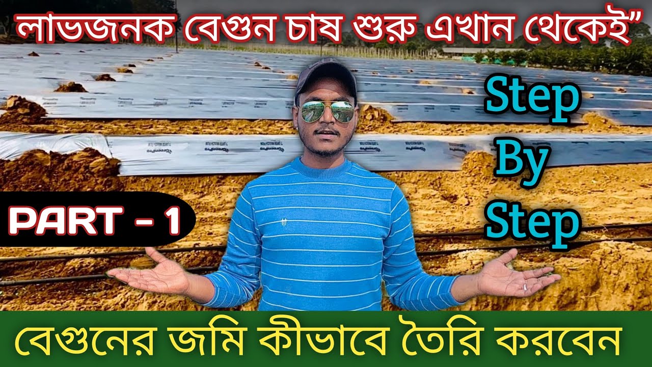 বেগুন জমি তৈরির সঠিক নিয়ম। কৃষকদের জন্য সেরা ভিডিও। #brinjal #farming 