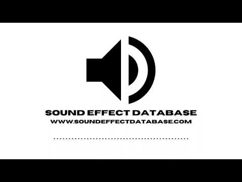 Space Insect Sound Effect