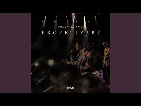 Profetizaré
