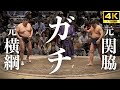 【ガチンコ】生涯戦歴見せます。親方同士の熱戦五番。高見盛は里山と。横綱 鶴竜は栃煌山。勧進大相撲【sumo 高画質】