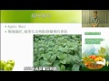 用香草打造家庭社區的小花園-陳彥宇老師