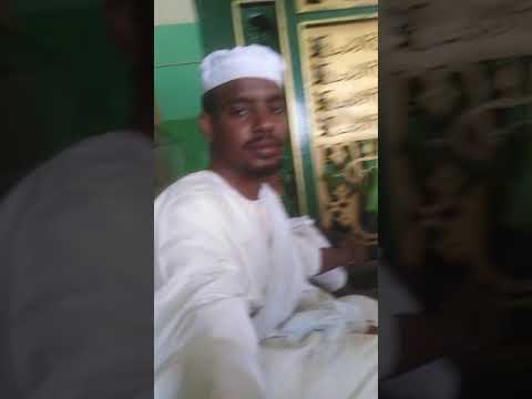 خمر الغرام يازيد داير عليا الشيخ الصابونابي