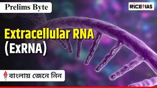 Extracellular RNA (exRNA) Explained | Science Current Affairs for UPSC 2026