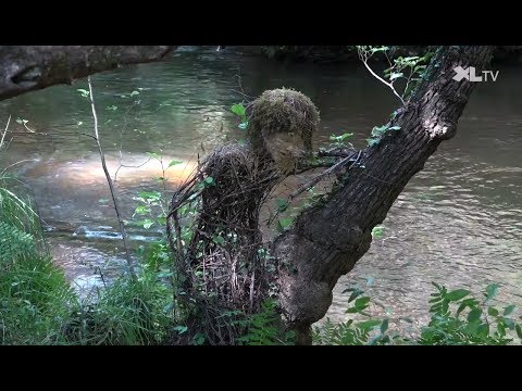 Landes Art, un parcours artistique en for&ecirc;t &agrave; Moustey