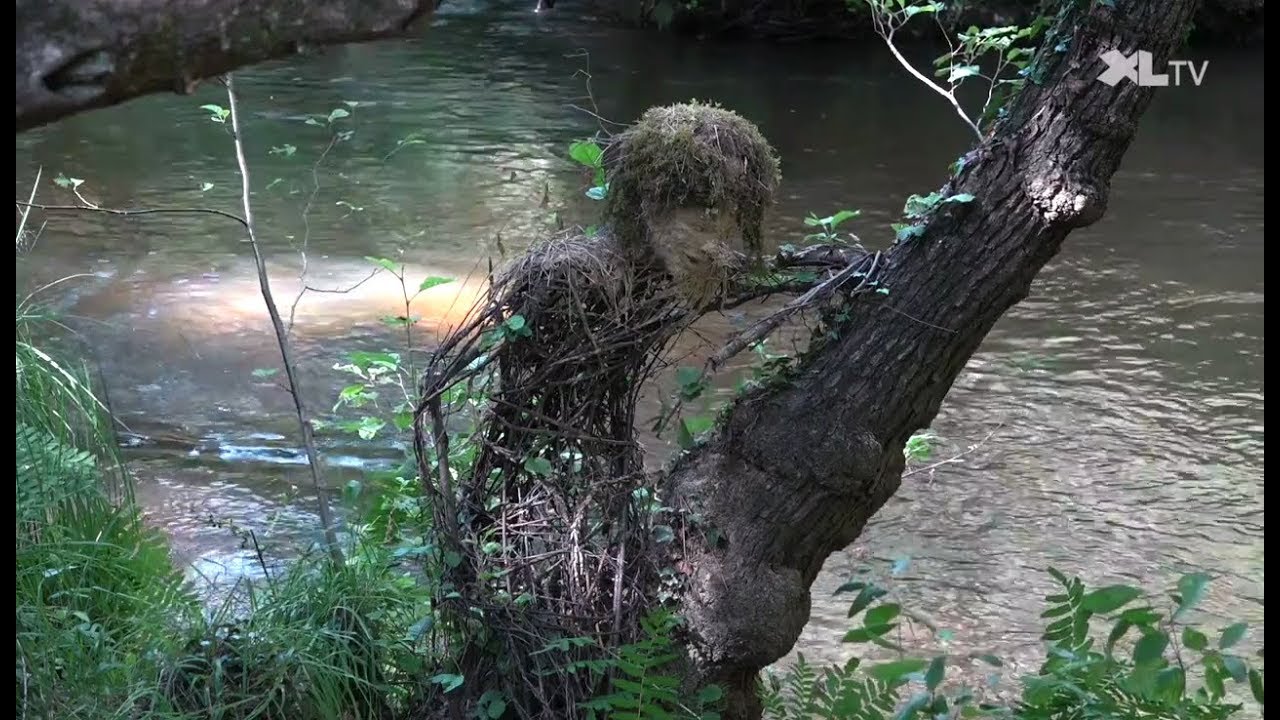 Landes Art, un parcours artistique en forêt à Moustey