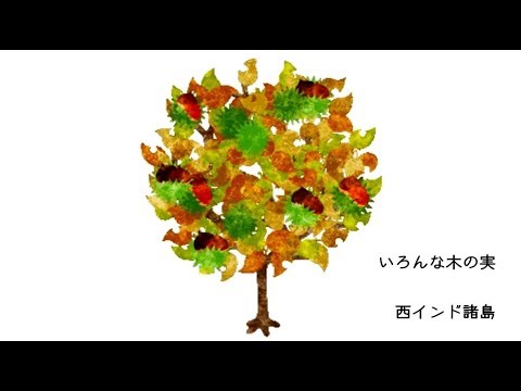 いろんな木の実 Youtube