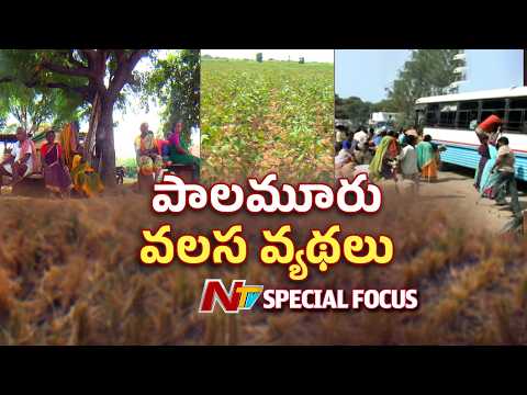 పాలమూరును మళ్లీ వెంటాడుతున్న కరువు... ఎండిపోయిన పొలాలు.. బీటలు వారిన నేలలు | NTV Telugu - NTVTELUGU