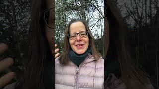 When Things Feel Chaotic, Take A Moment To Breathe With Me.