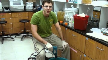 Soap making BYUHawaii Dr. Daniel Scott lab BYUH