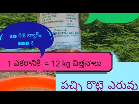 పచ చ ర ట ట ఎర వ అయ న జ ల గ న ఈర జ మ ప ల ల చల ల న Https Youtu Be Atg DQQ TZs 