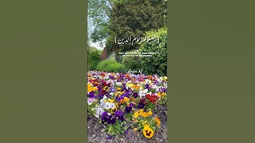 تلاوة خاشعة..القارئ المنشاوي..#سورة_الإنفطار #قران_كريم #اكسبلور #quran #المنشاوي #برلين