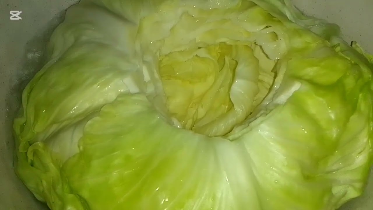 فطار اول يوم رمضان كل عام وانتم بخير وينعاد عليكم بالخير يارب 