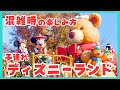 【子連れディズニー】混雑時の楽しみ方紹介!