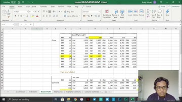 ASSIGNMENT 4 FIN534 SCENARIO AND SENSITIVITY ANALYSIS