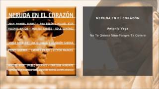 Video voorbeeld van "Antonio Vega - No Te Quiero Sino Porque Te Quiero (Single Oficial)"